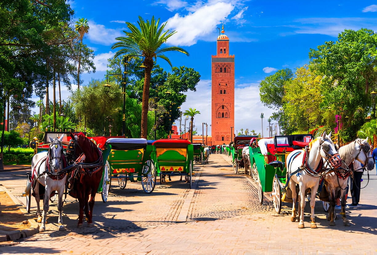 Marrakech Day Trip