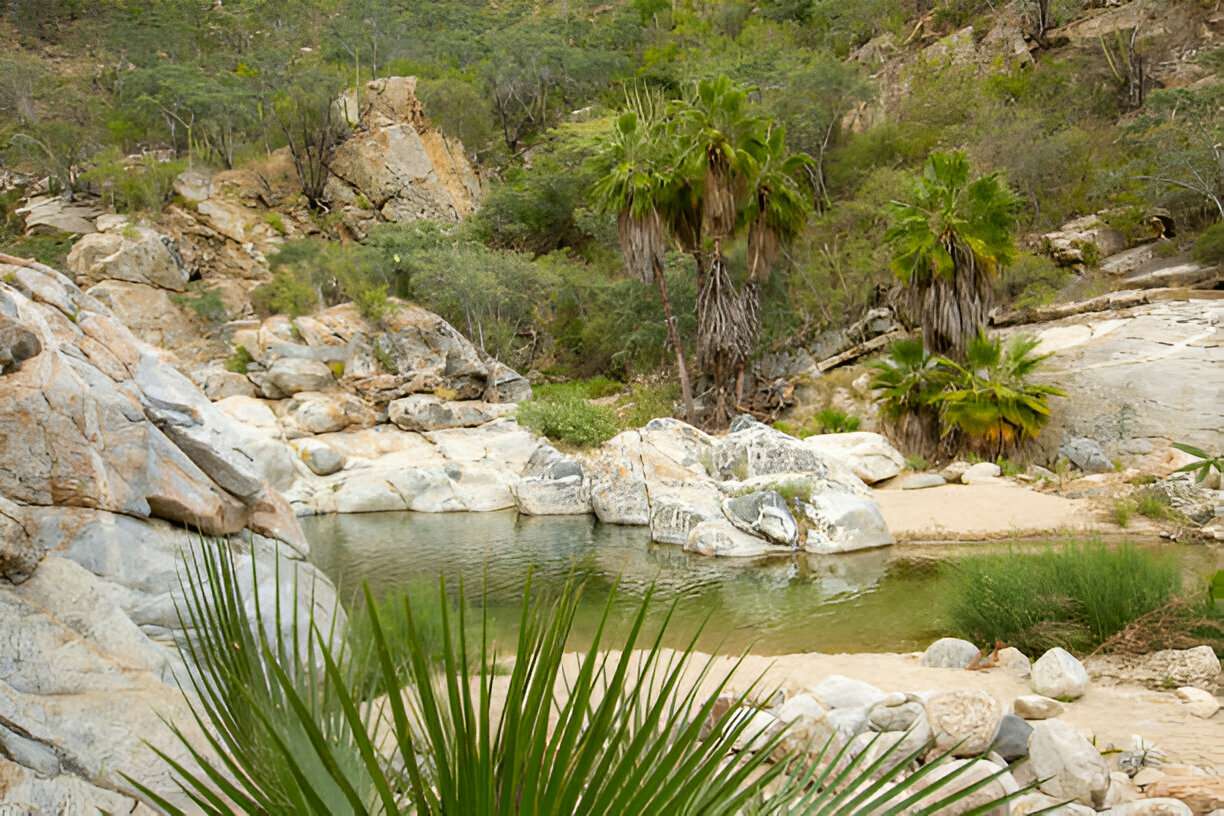 Paradise Valley