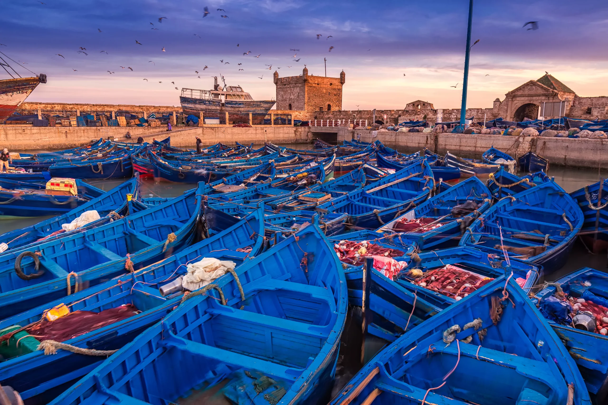 Essaouira: The Blue & White Coastal Pearl