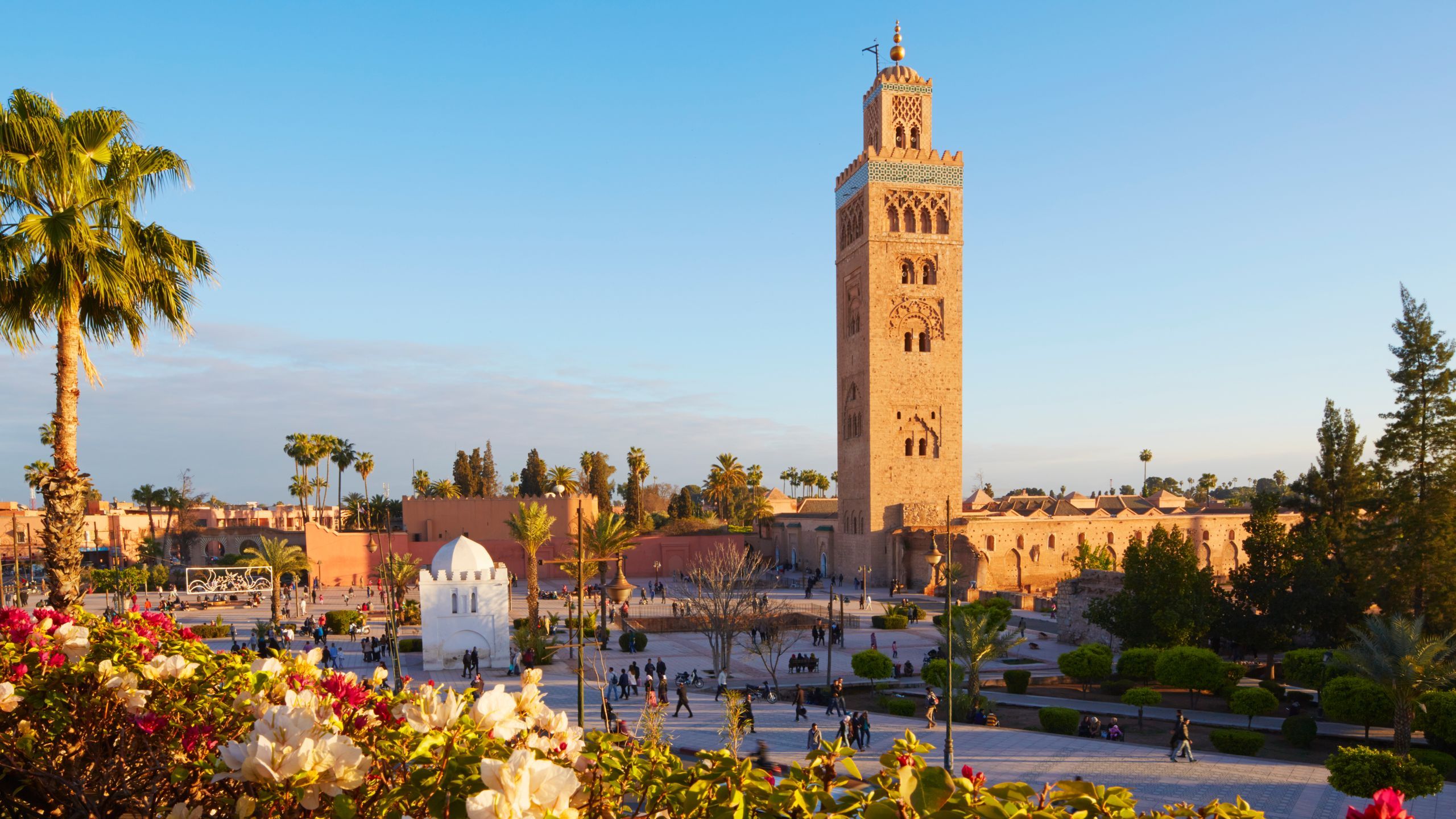 Marrakech Guided Day Trip: The Red City
