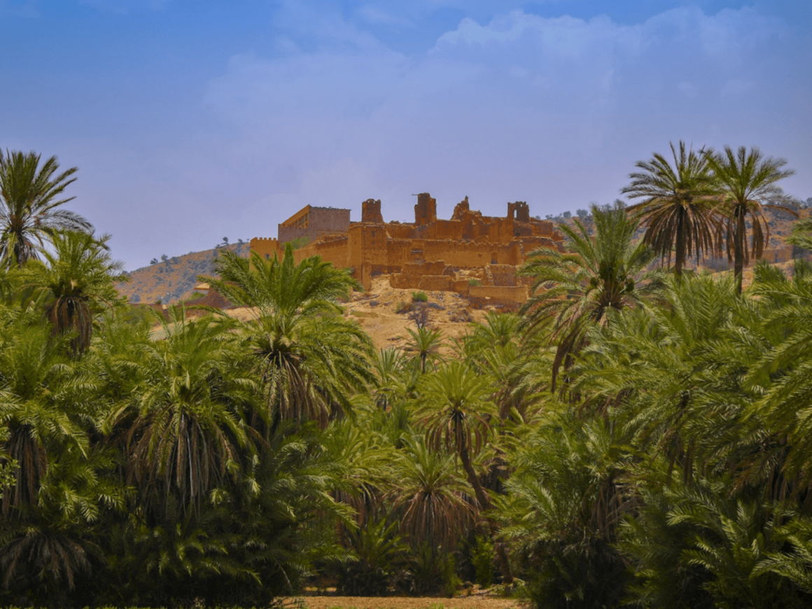 Taroudant & Tiout Oasis: The Hidden Souss